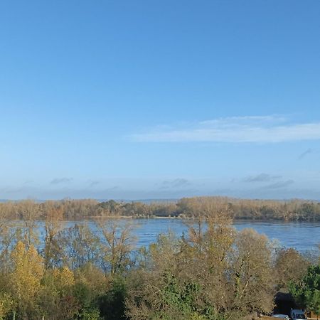 Gite Des Perreyeurs - Maison Troglodyte Avec Vue Sur Loire Монсоро Екстериор снимка