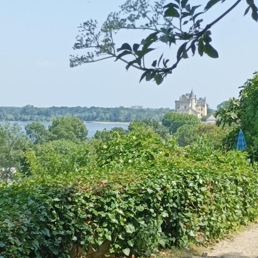 Gite Des Perreyeurs - Maison Troglodyte Avec Vue Sur Loire Монсоро Екстериор снимка